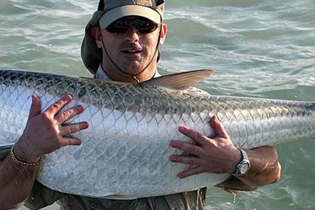 Captain Felix Cuadrado holding a caught tarpon fish